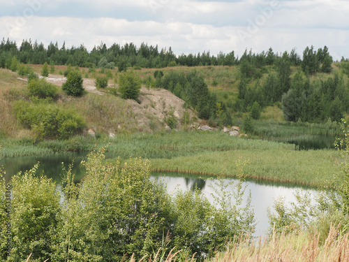 Obraz na płótnie lake in the forest w salonie