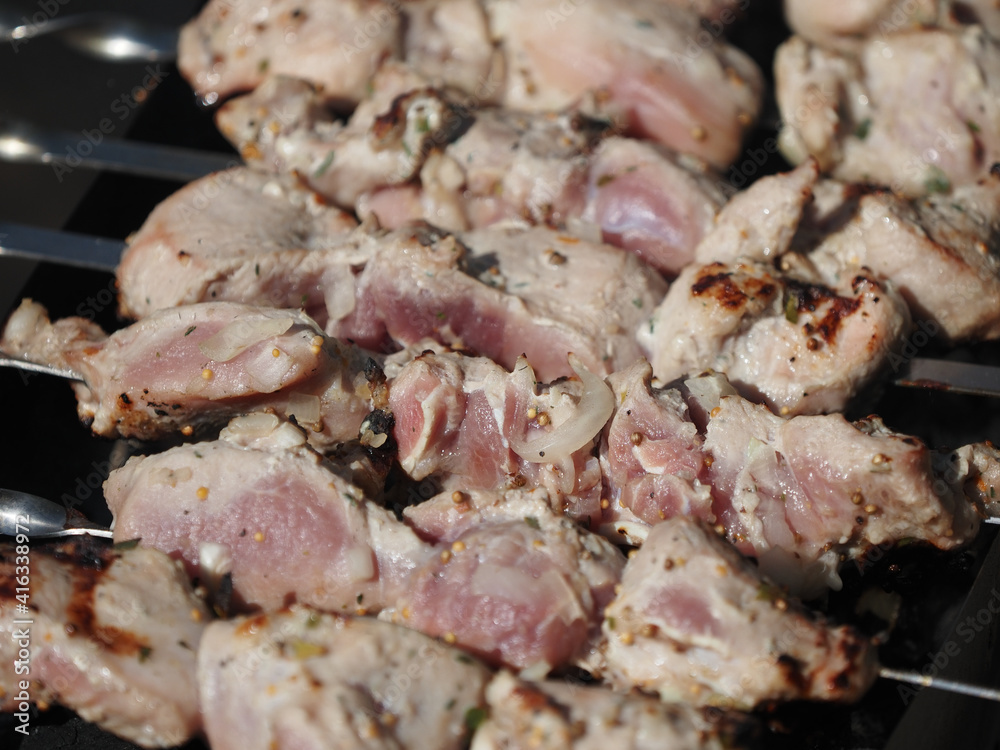 grilled meat on the grill