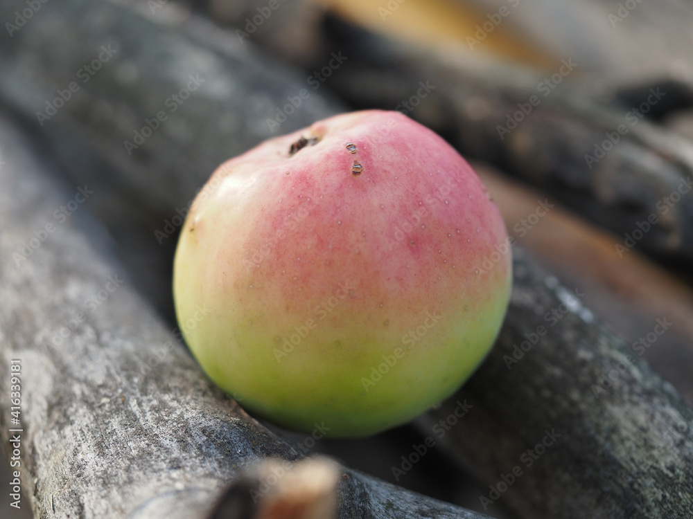 apple on wooden