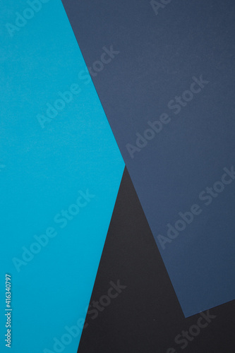 Geometric composition. Black, blue paper. Crossing flowers. Classic colors. Business style.