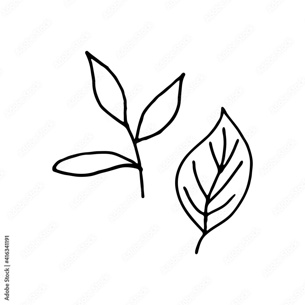Hand-drawn leaf and twig. Doodle image for various designs. Hand-drawn leaf and twig. Doodle image for various designs.