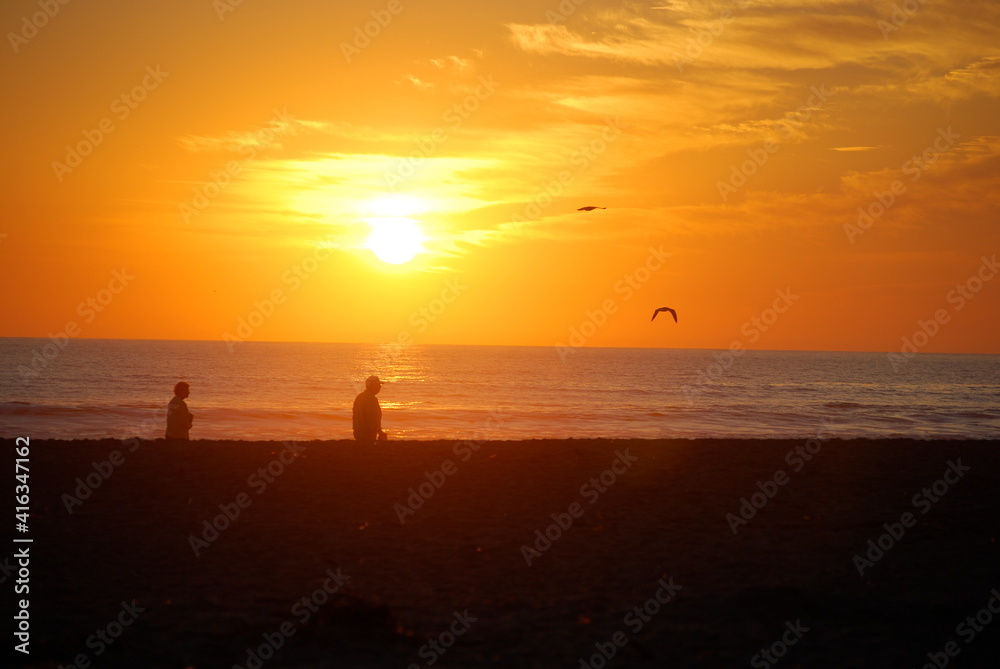 Beach with sea lions, waves, birds, couple silhouette in the sunset & clouds 