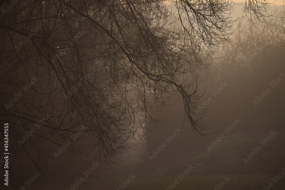 Obraz premium pale Light