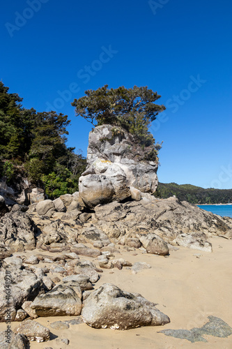Rocher sur une plage du parc Abel Tasman, Nouvelle Zélande 