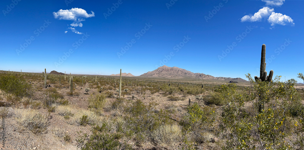 Picacho Peak State Park in the area north of Tucson, AZ