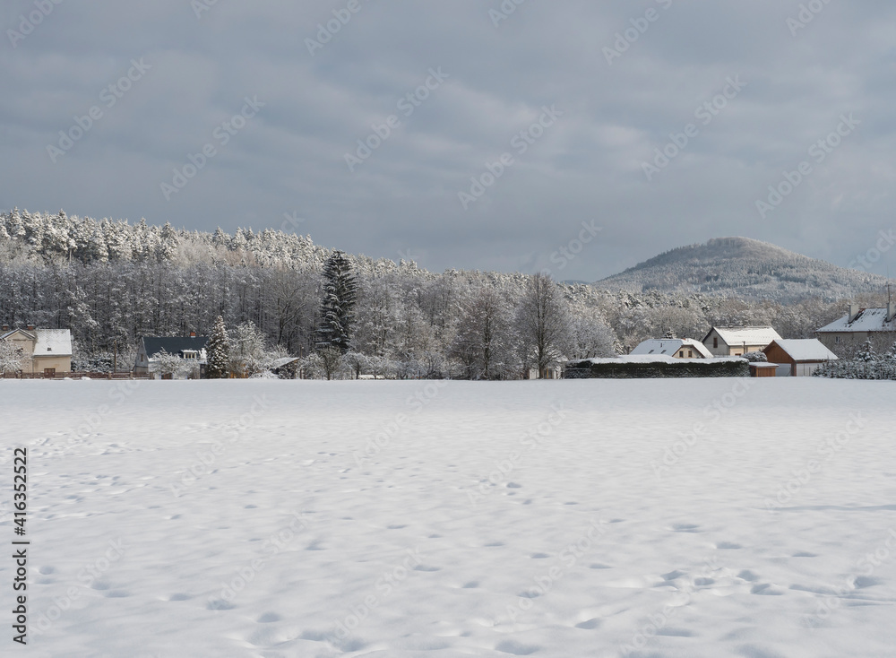 Winter landscape with view of village Travnik with country houses and cottage, surrounded by snow-covered fields and snowy frost forest and trees on cloudy day