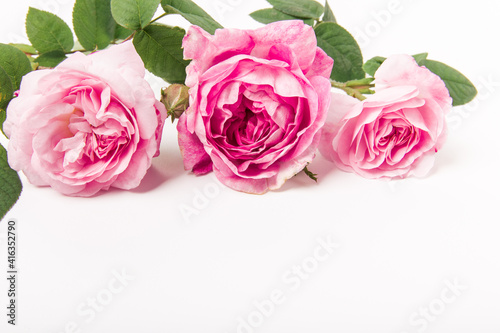 Fototapeta Naklejka Na Ścianę i Meble -  Bouquet of pink roses on white background. Flower background. Mothers Day,Wedding and Birthday concept. Copy space