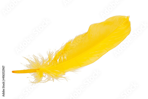 Elegant yellow feather isolated on the white background