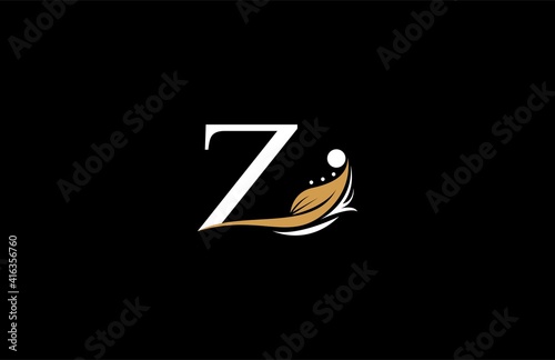 Letter Z Font Linked Beauty Filigree Logogram