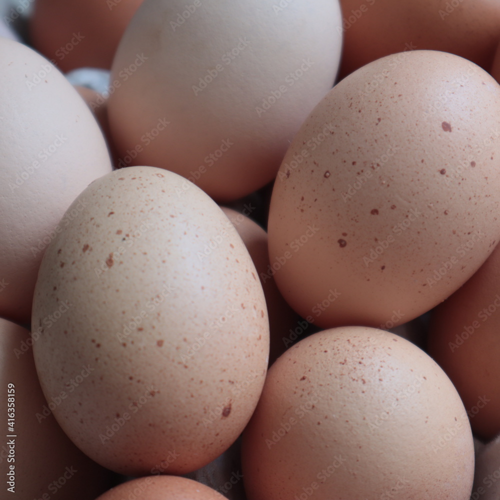 Organic Eggs Organic Eggs