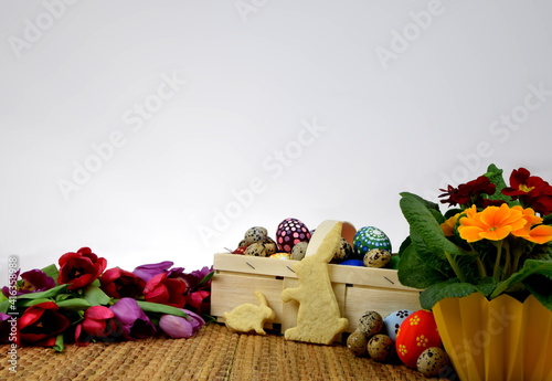 Primroses, tulips, painted eggs and bunny shaped cookies on white background  photo