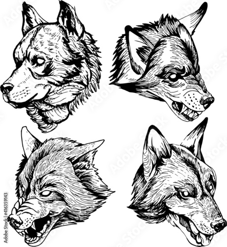 Set de lobos dibujados a mano
