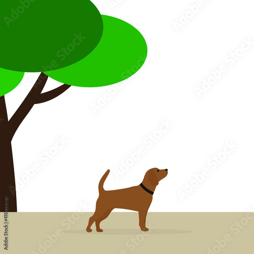 A dog with a collar stands near a tree on a white background
