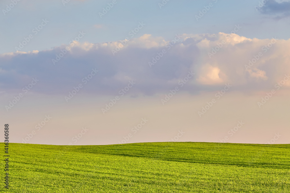 Green field under blue clouds sky. Green field under blue clouds sky.