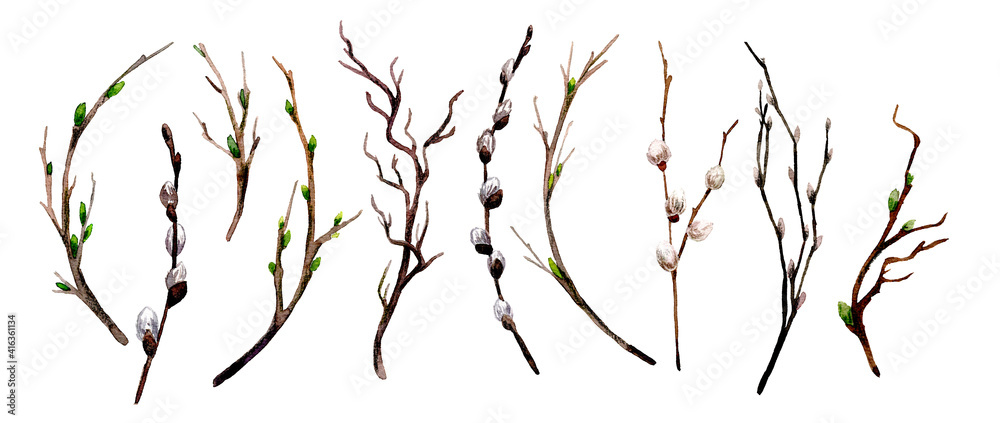 Fototapeta premium Spring branches with buds and tiny fluffy pussies set