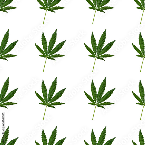 Hemp or cannabis leaf seamless pattern on white background. Top view, flat lay. Square composition
