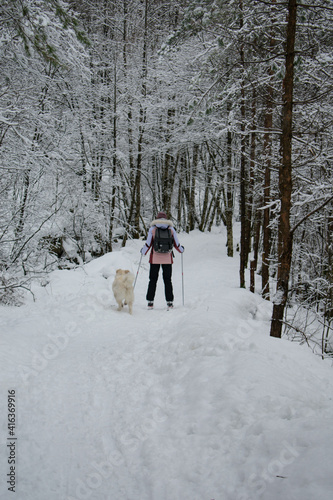 Young Woman Cross Country Skiing with Dog (Husky / Samoyed) in Norway