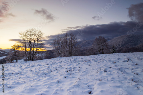 Colorful, winter sunrise in the Bieszczady Mountains, view of snow-covered trees, fields and meadows © Aneta
