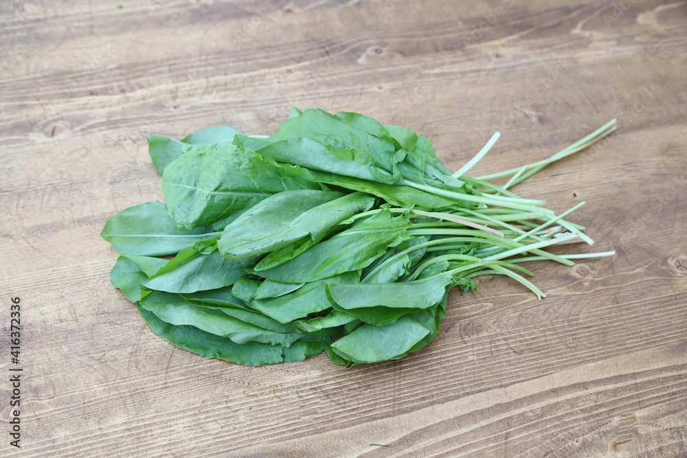 sorrel fresh green leaves on a brown wooden table sorrel fresh green leaves on a brown wooden table