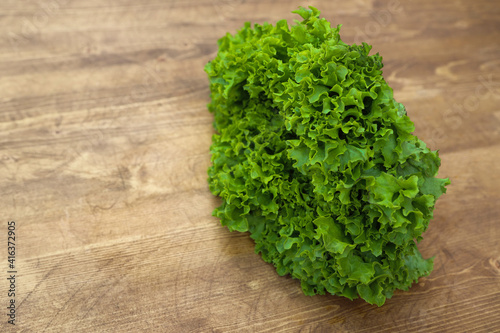 green salad leaves vegetarianism and proper nutrition
