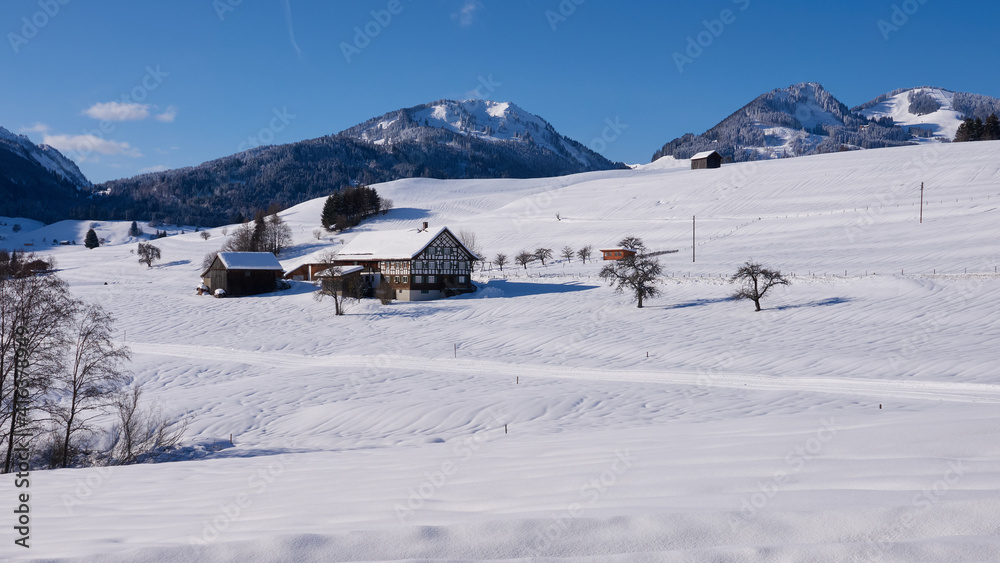 Blick über tief verschneite Weidefläche im südlichen Oberallgäu