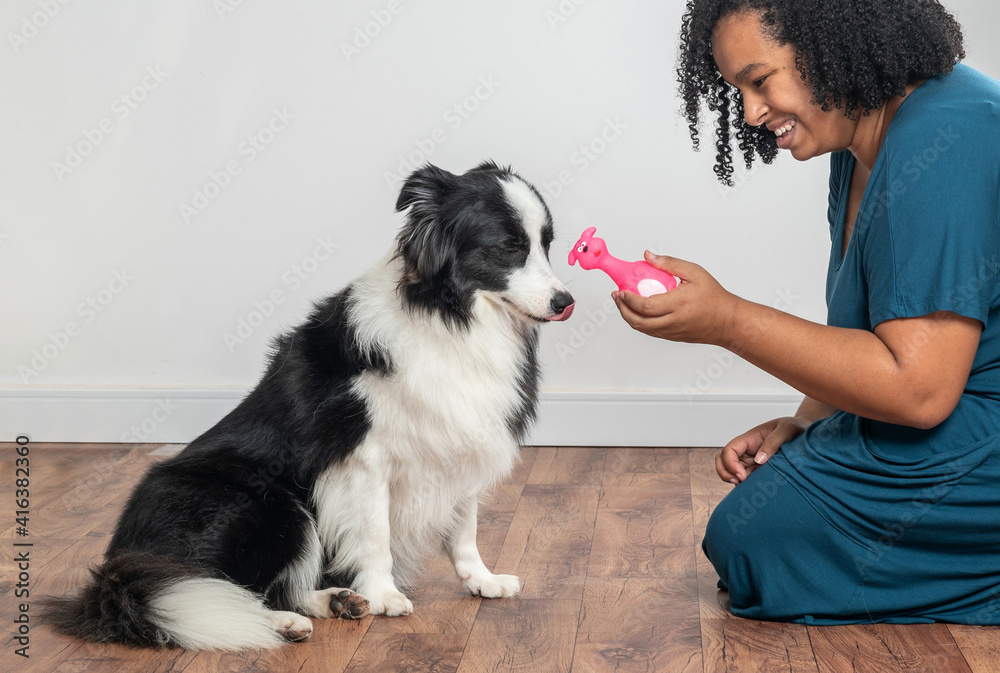 young mixed race woman playing with her dog at home
