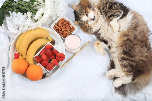 Healthy breakfast with ingredients  cozy home office with a sleeping cat. strawberries  nuts and fruits on a light blanket  detox diet concept  healthy lifestyle  modern woman work desk  flat lay 