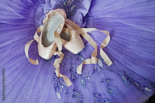 Ballet pointe shoes and violet tutu skirt.