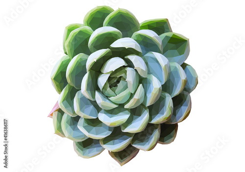 Geometrical illustration of a teal succulent isolated