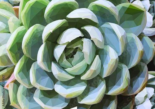 Geometrical illustration of a teal succulent wallpaper