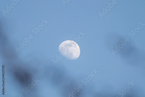 three quarters of the moon in the day sky, blurred trunks in the foreground