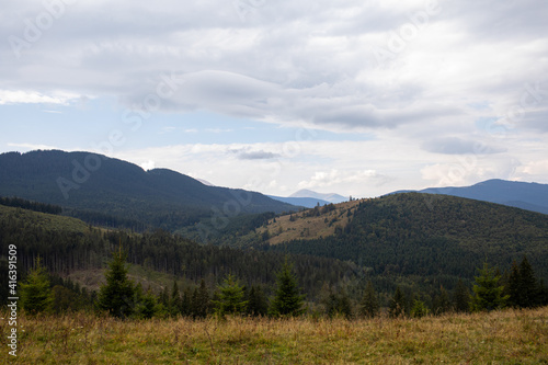 Magnificent view the coniferous forest on the mighty Carpathians Mountains and beautiful cloudy sky background. Beauty of wild virgin Ukrainian nature, Europe. Popular tourist attraction.
