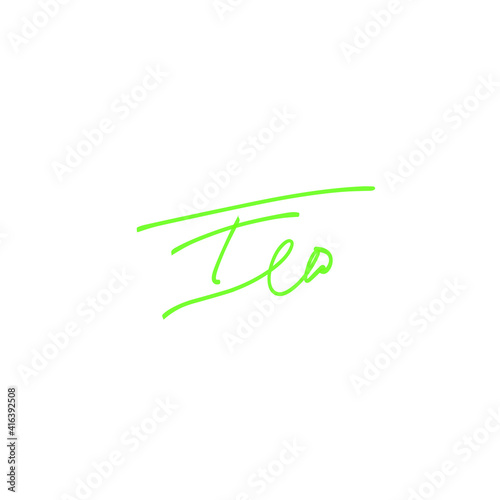 FE initial handwritten calligraphy, for monogram and logo