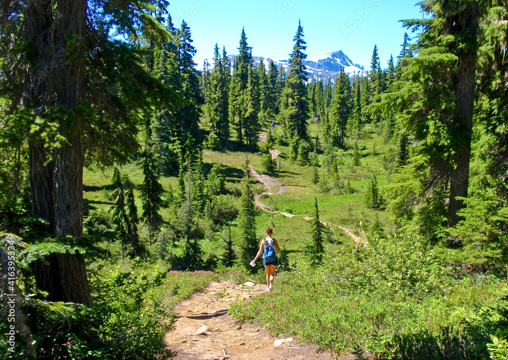 Obraz premium Fragment of the Mt. Washington trail.