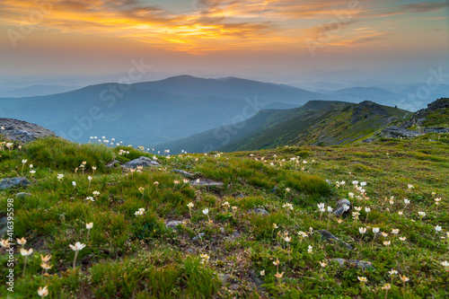 Wschód słońca na Babiej Górze, Małopolska, Polska photo