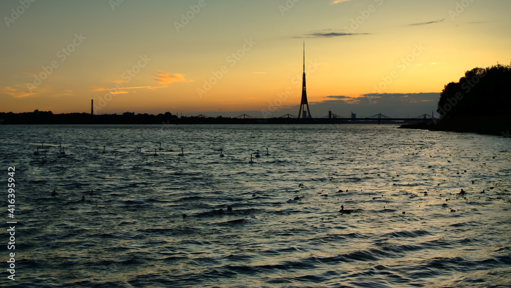 birds on the river in the evening during sunset birds on the river in the evening during sunset