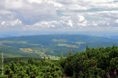 Fototapeta Naklejka Na Ścianę i Meble -  Panorama of the Karkonosze in the summer. Juicy green mountain vegetation. Trees and mountain pine. Clouds over the mountains