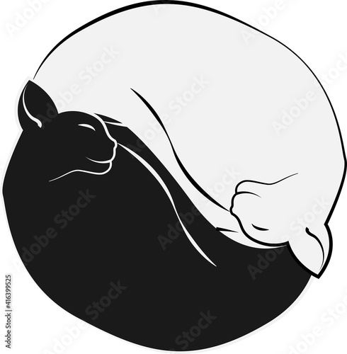 Two cats white and black sleeping yin and yang