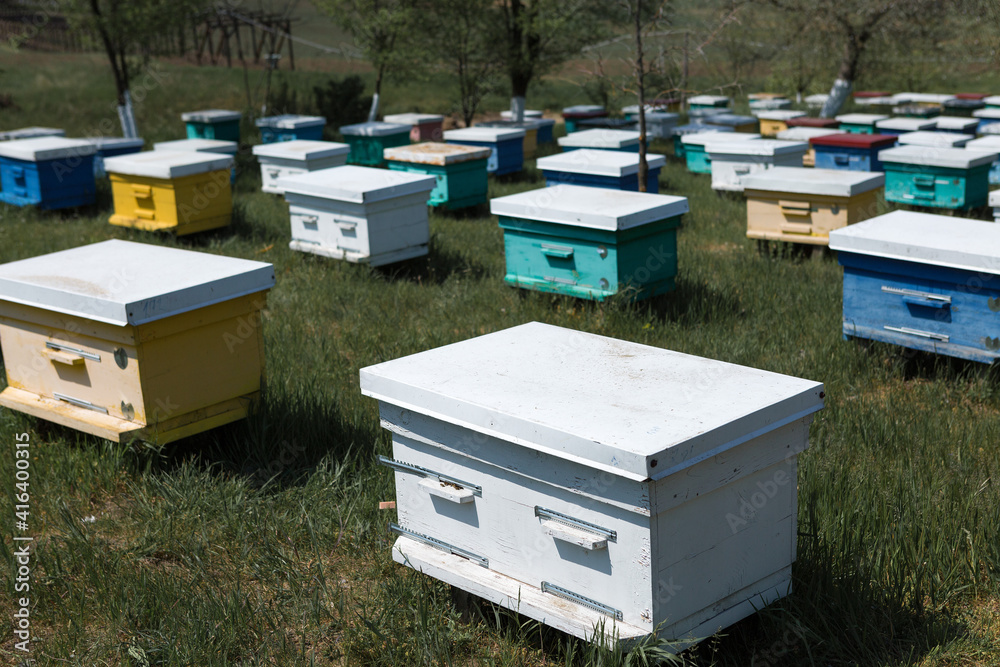 A row of bee hives in a private apiary in the garden. Honey industry. A row of bee hives in a private apiary in the garden. Honey industry.