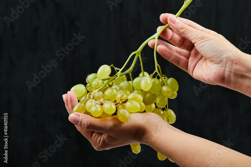 Holding a bunch of white grapes on black background