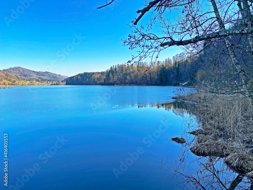 Late winter and early spring on the Türler Lake or Türlersee Lake (Tuerlersee oder Turlersee), Aeugst am Albis - Canton of Zürich, Switzerland (Schweiz) photo