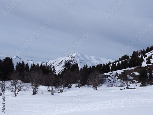 Paysage des Alpes à Saint Martin de Belleville en Savoie photo