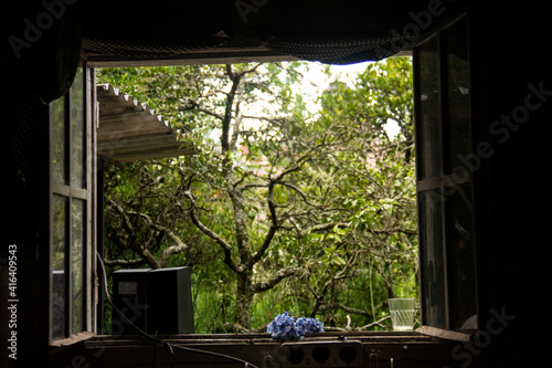 Ventana a la naturaleza