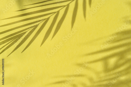 Floral summer template. Palm leaves shadow