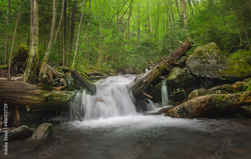 waterfall in the forest