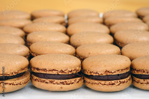 French macaron cookies filled with chocolate ganache cream