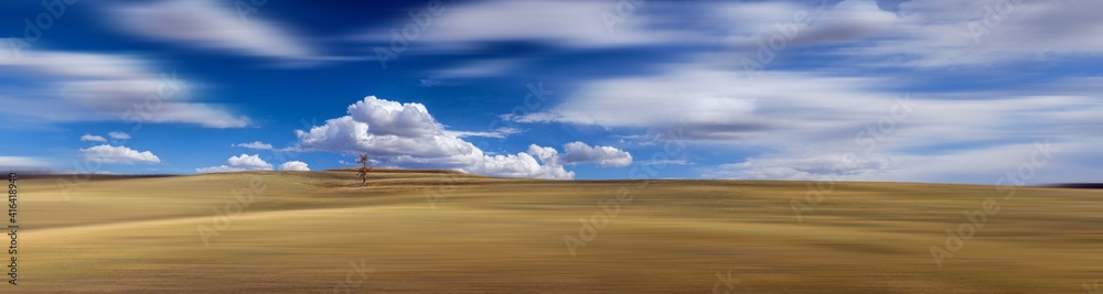 blurred view of tree among plain with fluffy white clouds in blue sky at sunny day blurred view of tree among plain with fluffy white clouds in blue sky at sunny day