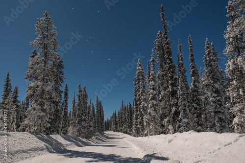 Fotografie A winter night time road view on a bright, moonlit evening on a freezing cold, clear, starry night in Yukon Territory, northern Canada
