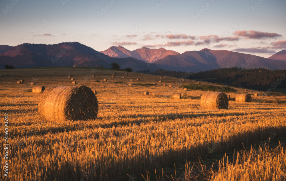 Harvested Field with Hay Bales in Golden Evening Light Under West Tatras Mountains, Slovakia