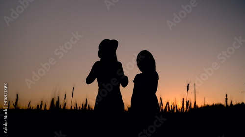 Two young women in a dress stand in a wheat field on a sunset background. Black silhouette of girls at sunset